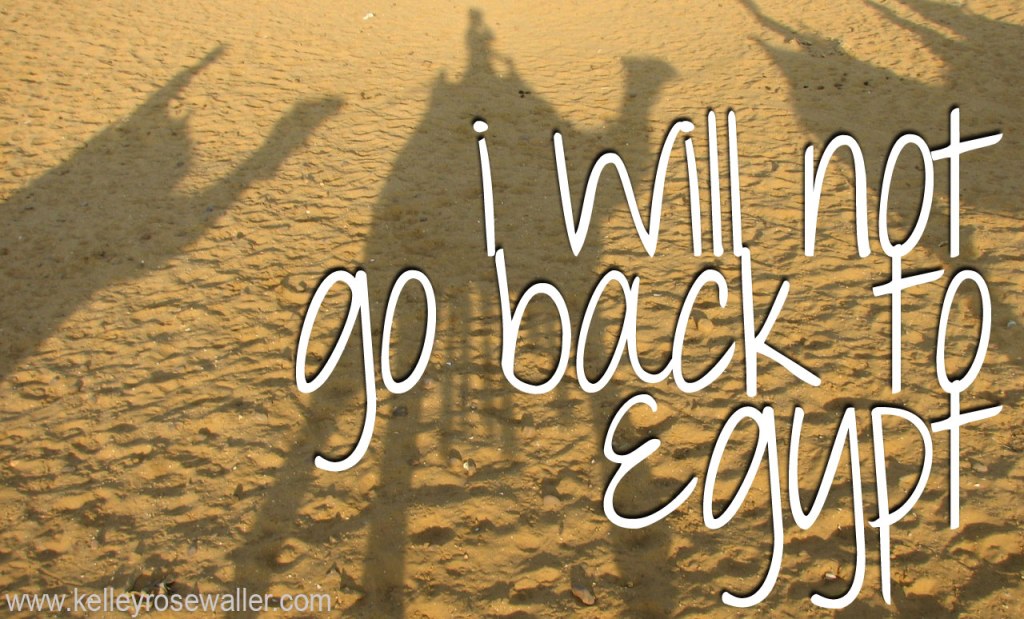 israelites wanting to go back to egypt - I will not go back to Egypt — Kelley Rose Waller
